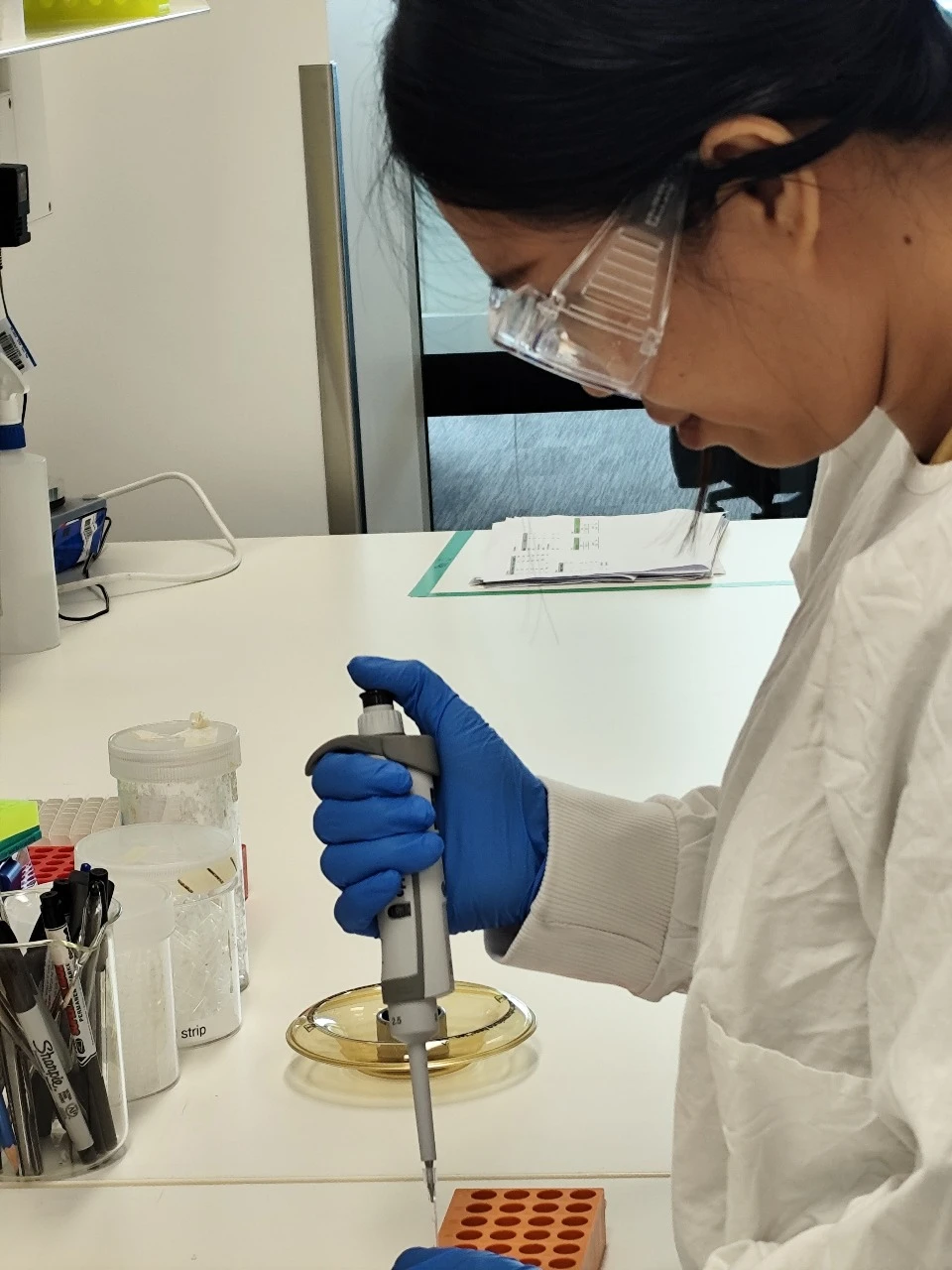 Eirene Brugman, a young lecturer from Hasanuddin University (Unhas), is undergoing training in NGS-Nanopore sequencing and genome analysis in plant pathology, as part of the Phytophthora Research Group of the Faculty of Agriculture. She is currently working in the laboratory at the LEES Building, University of Sydney (Usyd). Credit: Jun.